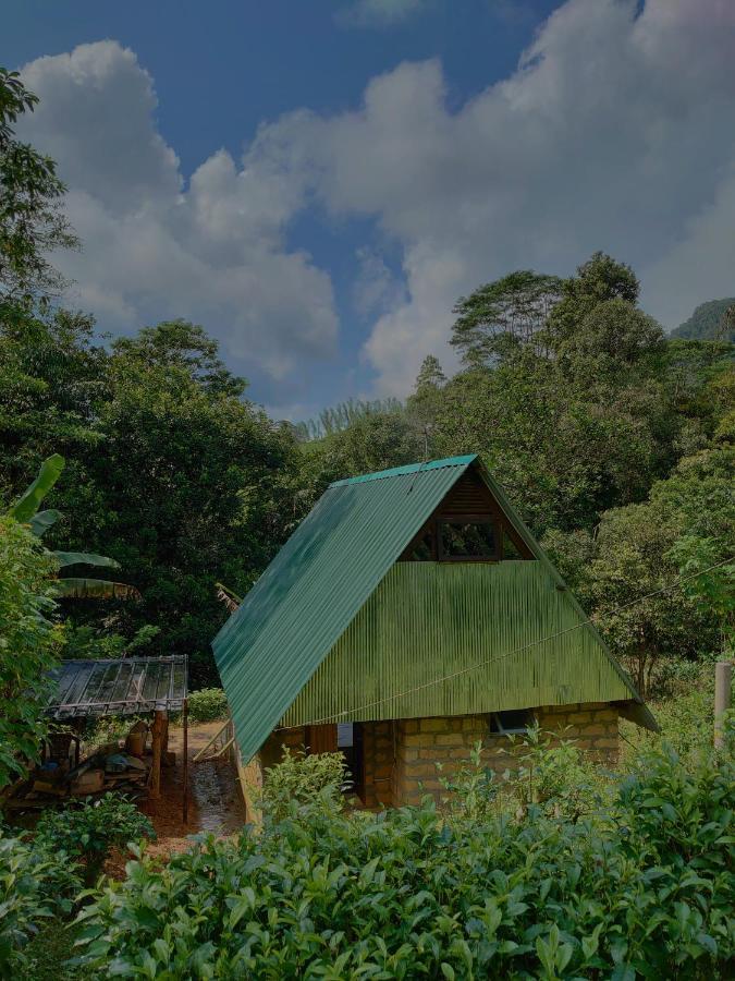 דניאיאה Rainforest Cabin מראה חיצוני תמונה