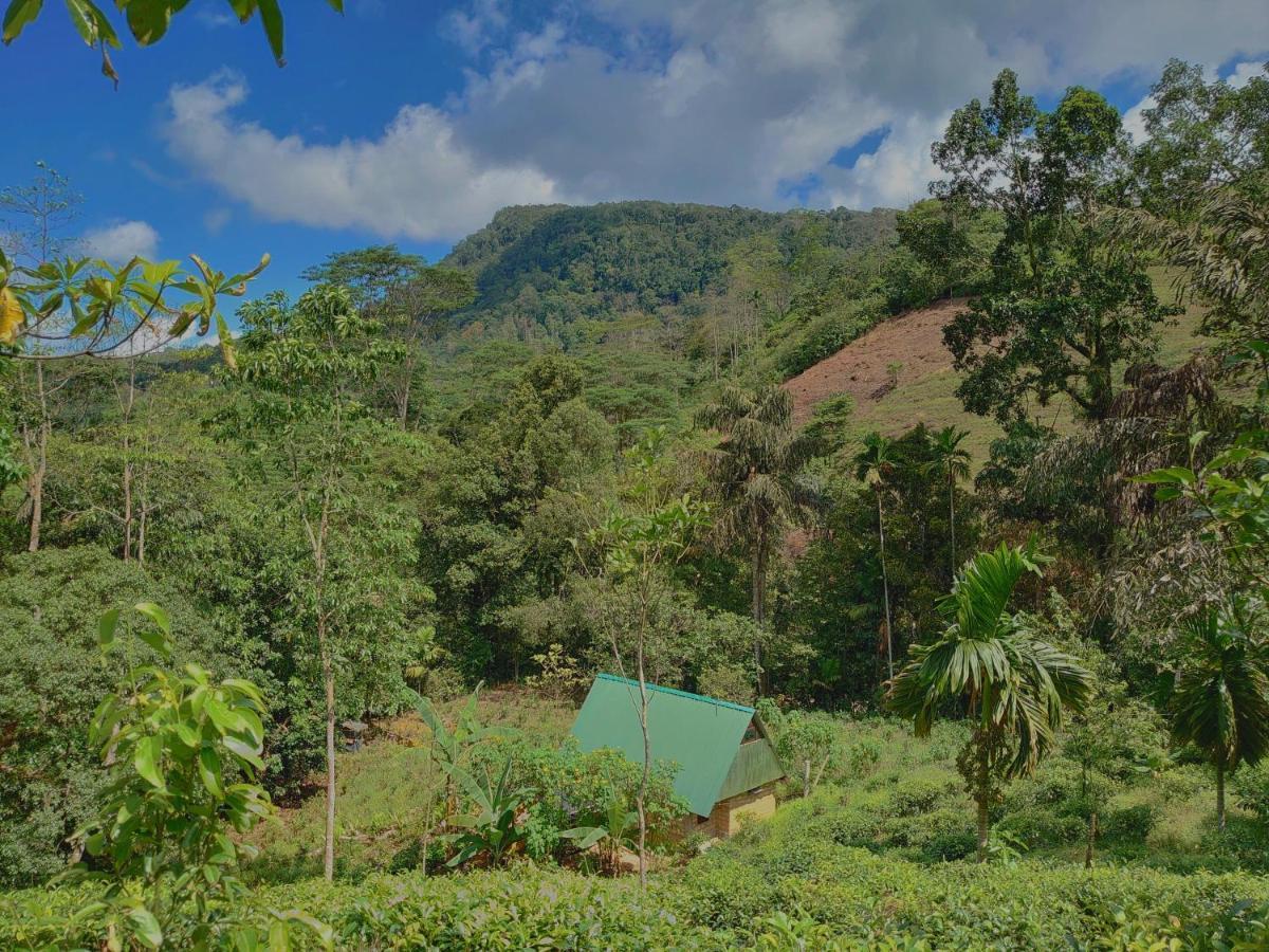דניאיאה Rainforest Cabin מראה חיצוני תמונה