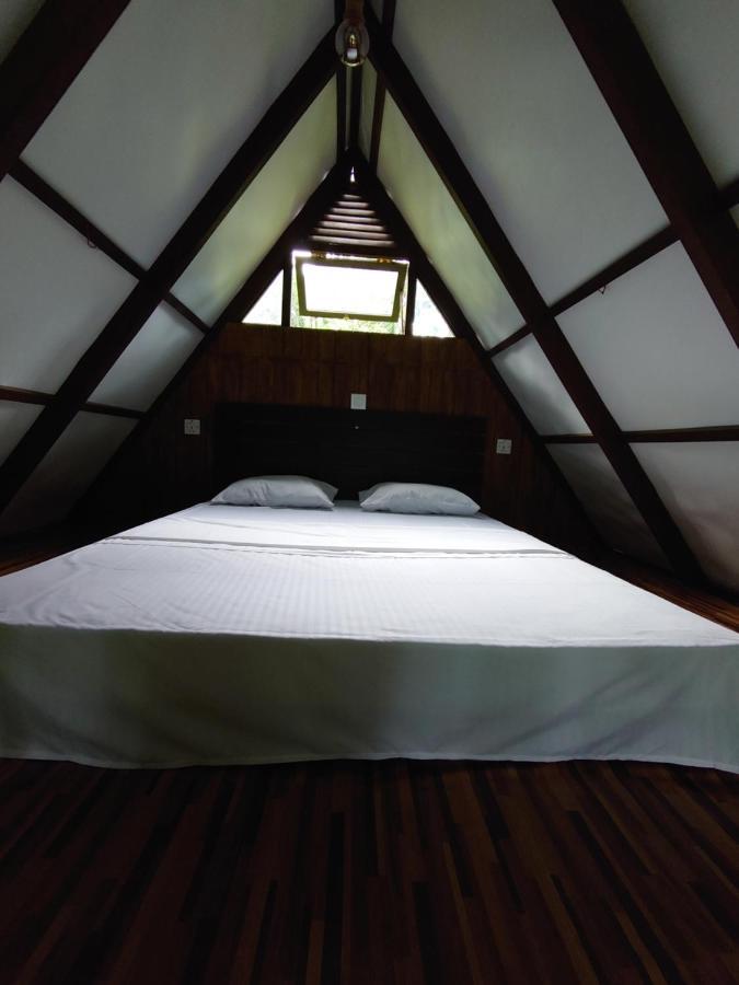 דניאיאה Rainforest Cabin מראה חיצוני תמונה