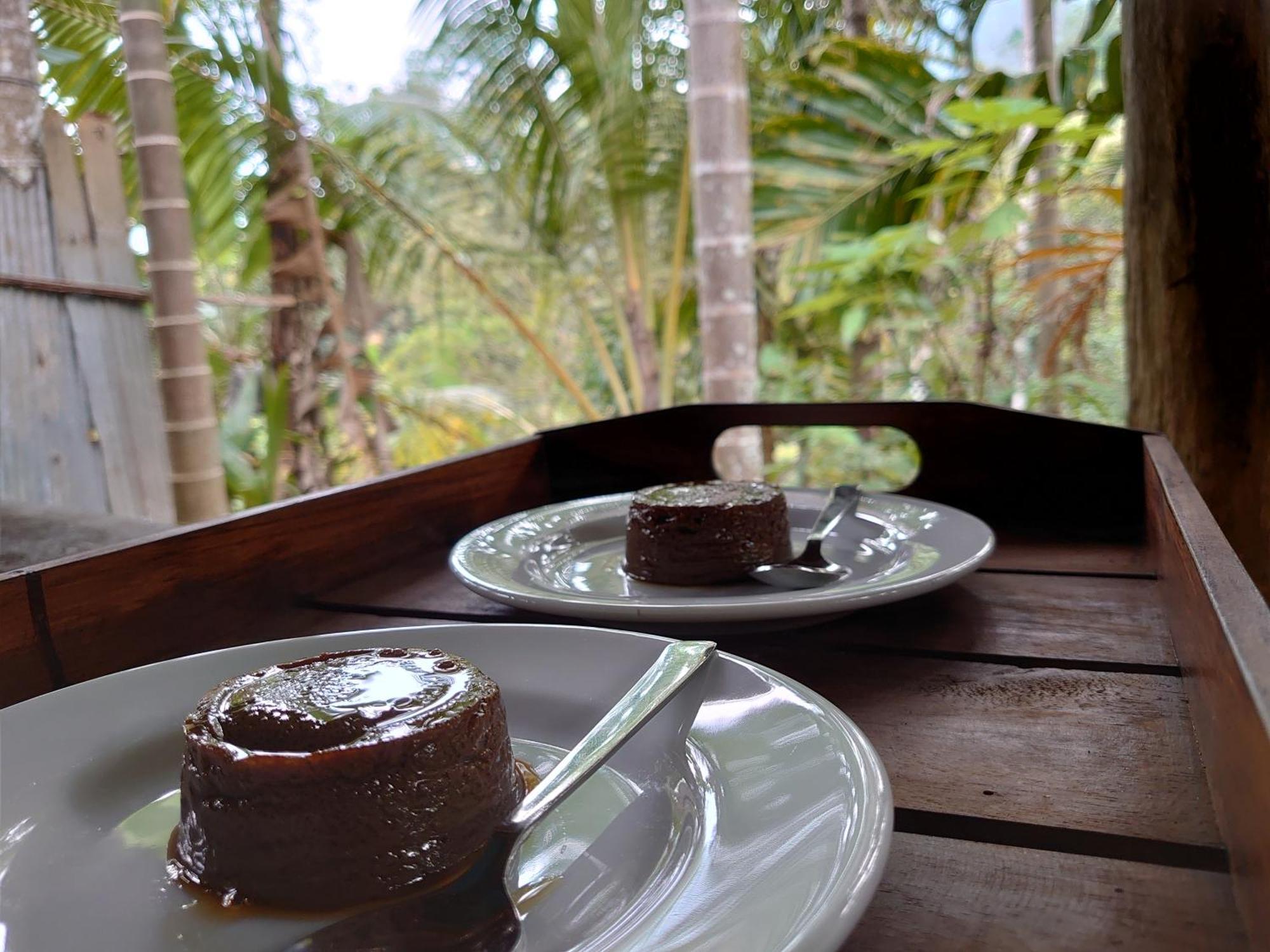 דניאיאה Rainforest Cabin מראה חיצוני תמונה