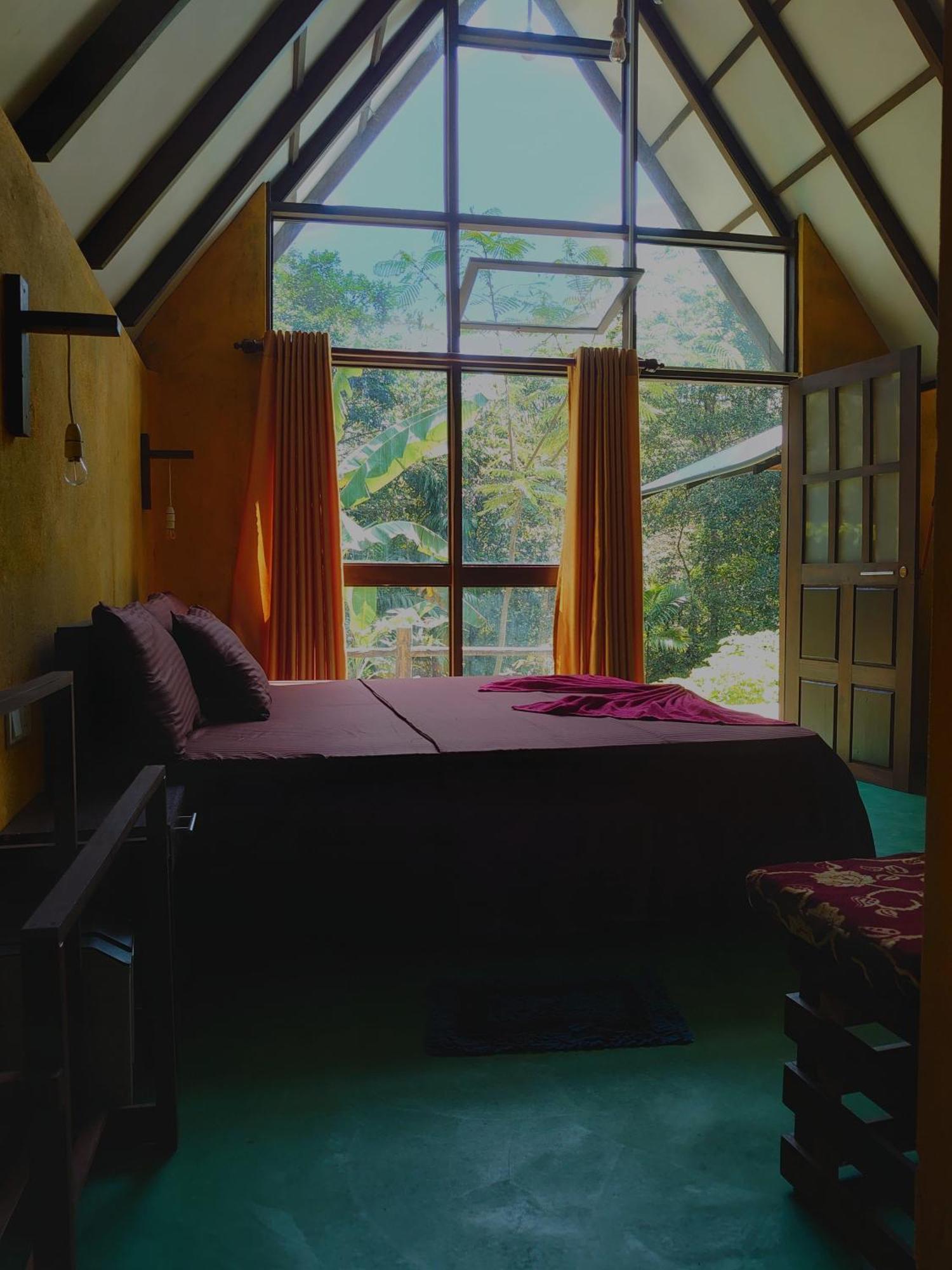 דניאיאה Rainforest Cabin מראה חיצוני תמונה
