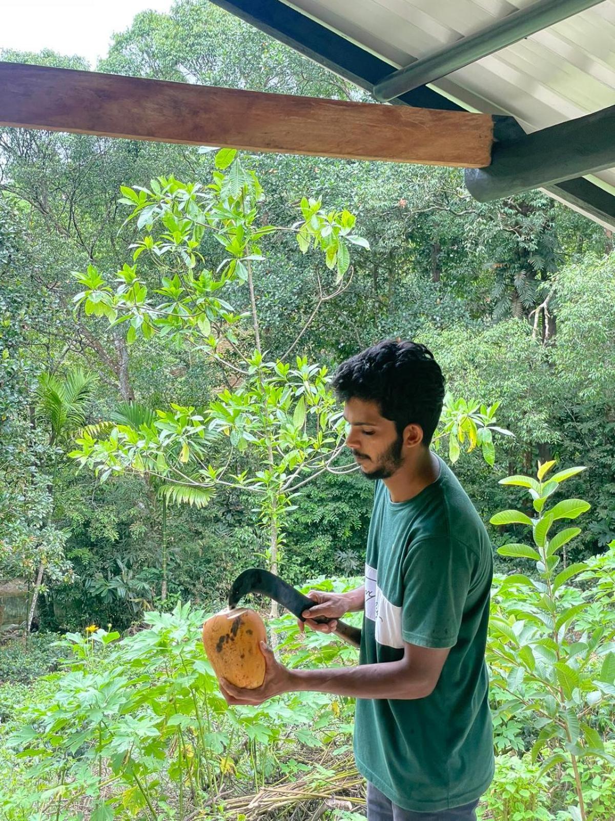 דניאיאה Rainforest Cabin מראה חיצוני תמונה