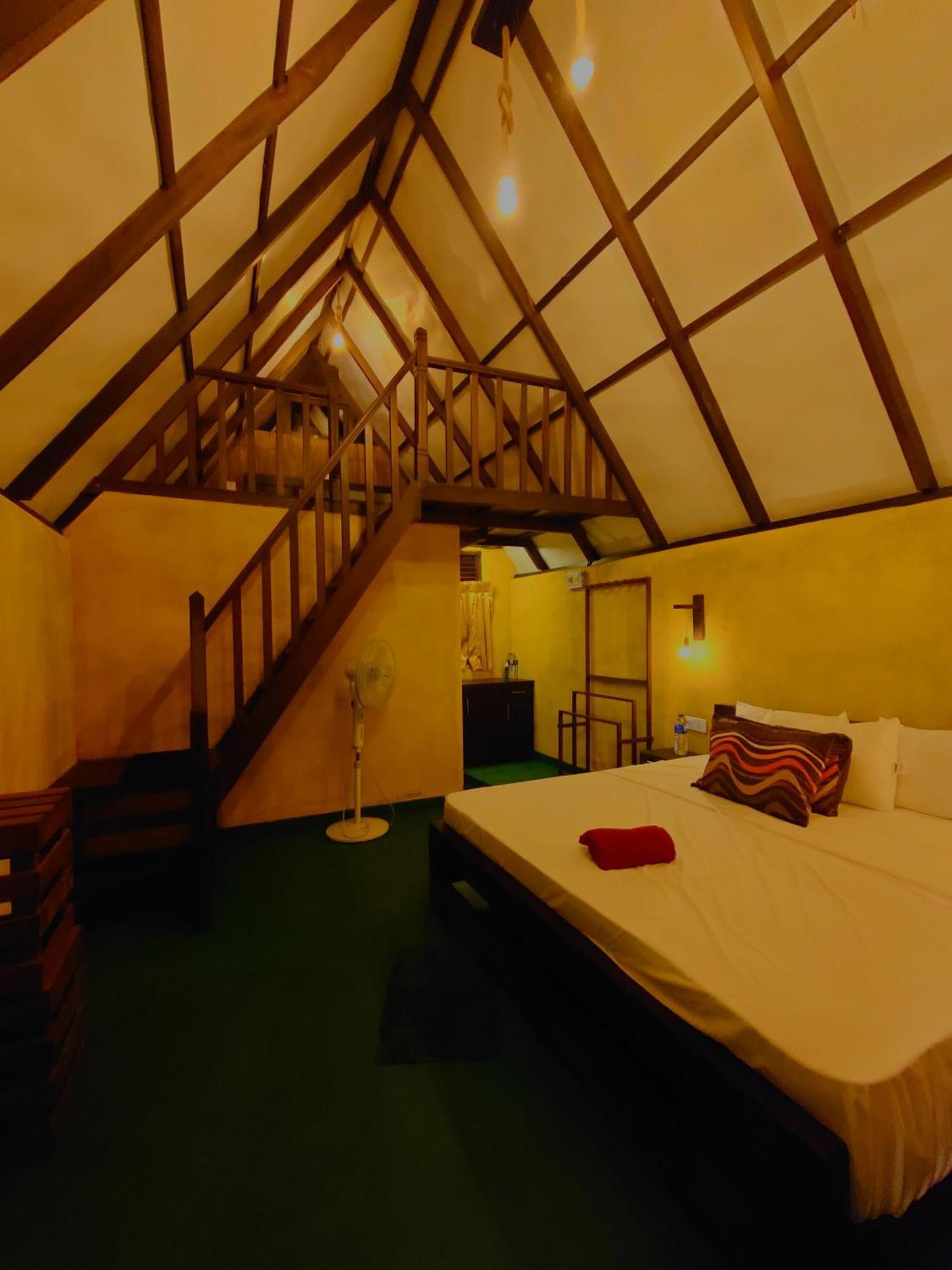 דניאיאה Rainforest Cabin מראה חיצוני תמונה