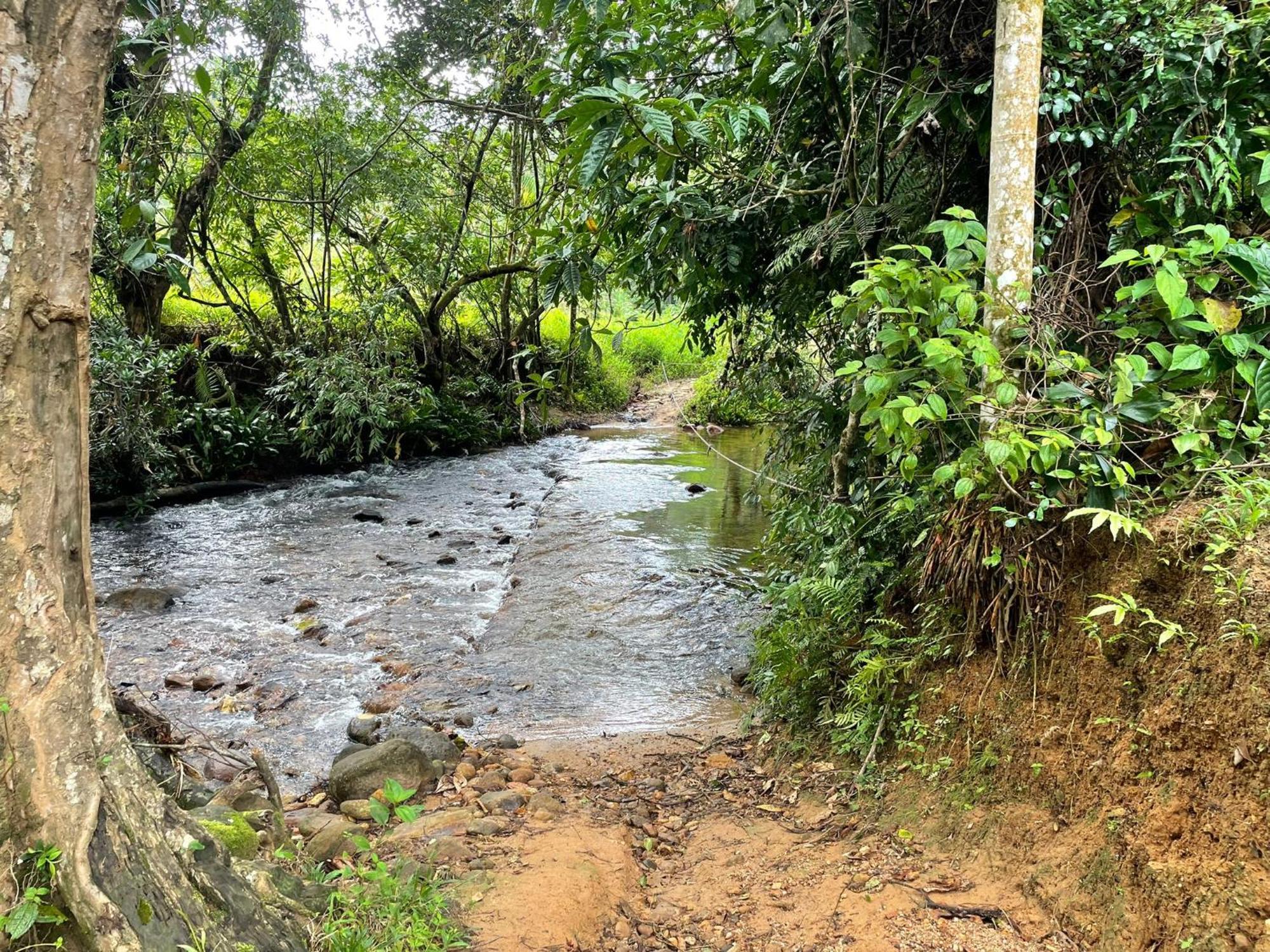 דניאיאה Rainforest Cabin מראה חיצוני תמונה