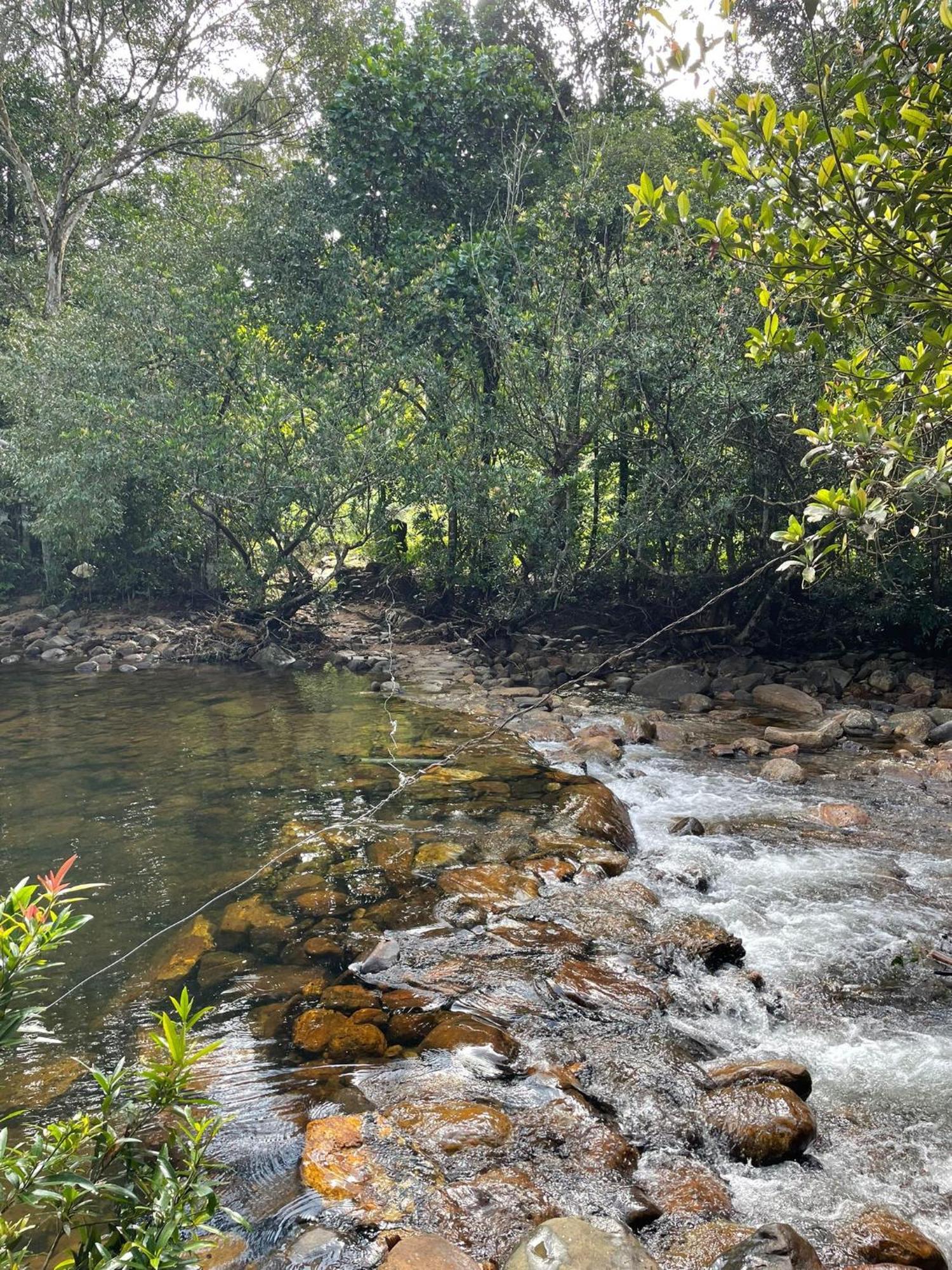 דניאיאה Rainforest Cabin מראה חיצוני תמונה