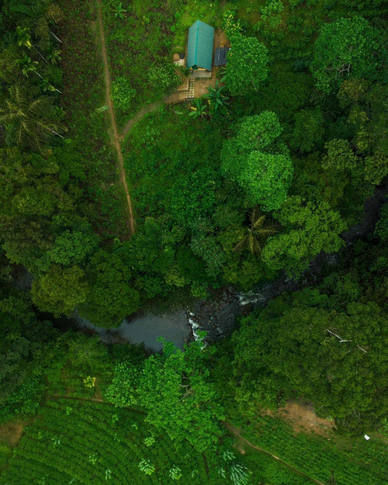 דניאיאה Rainforest Cabin מראה חיצוני תמונה