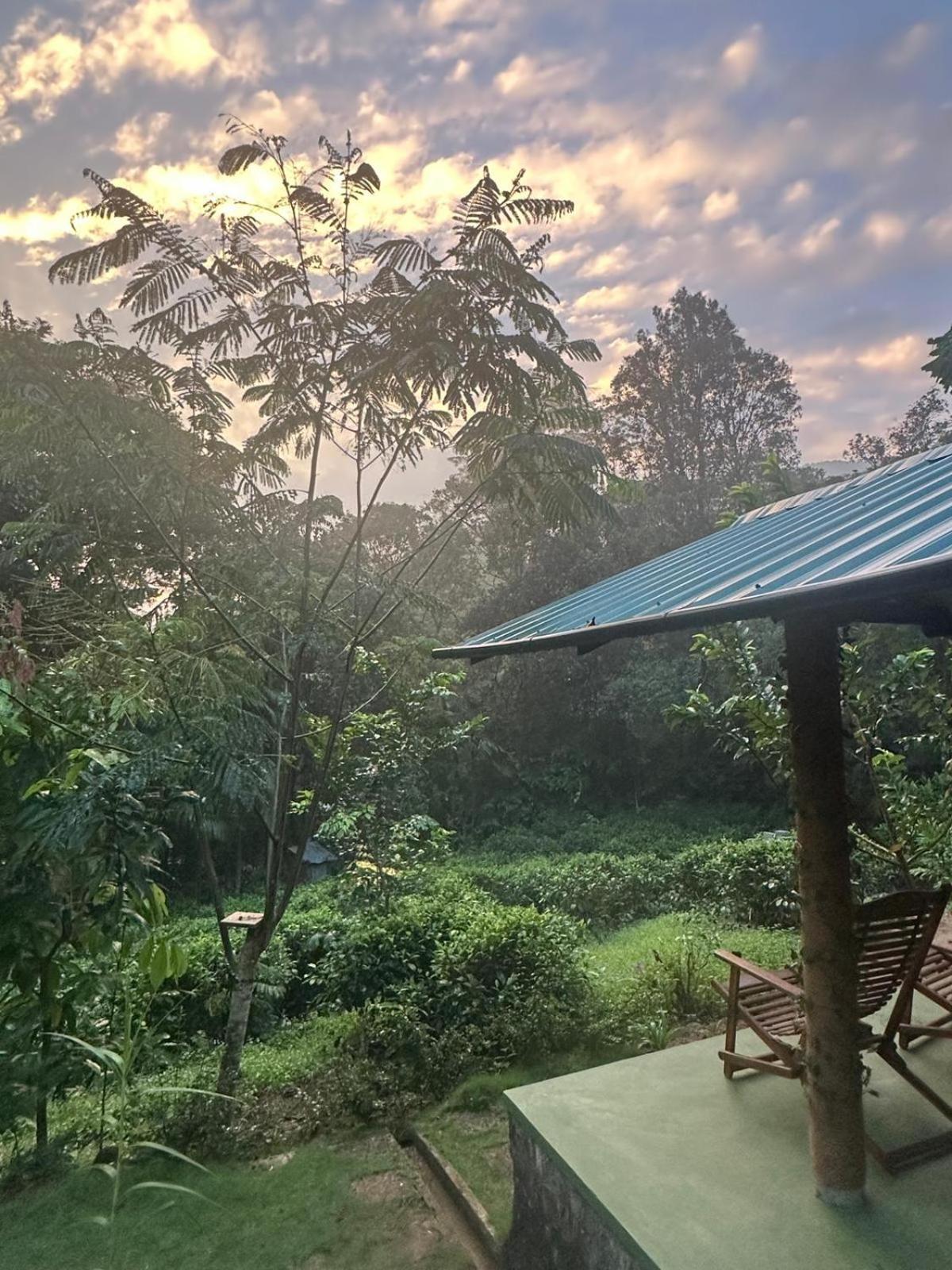דניאיאה Rainforest Cabin חדר תמונה