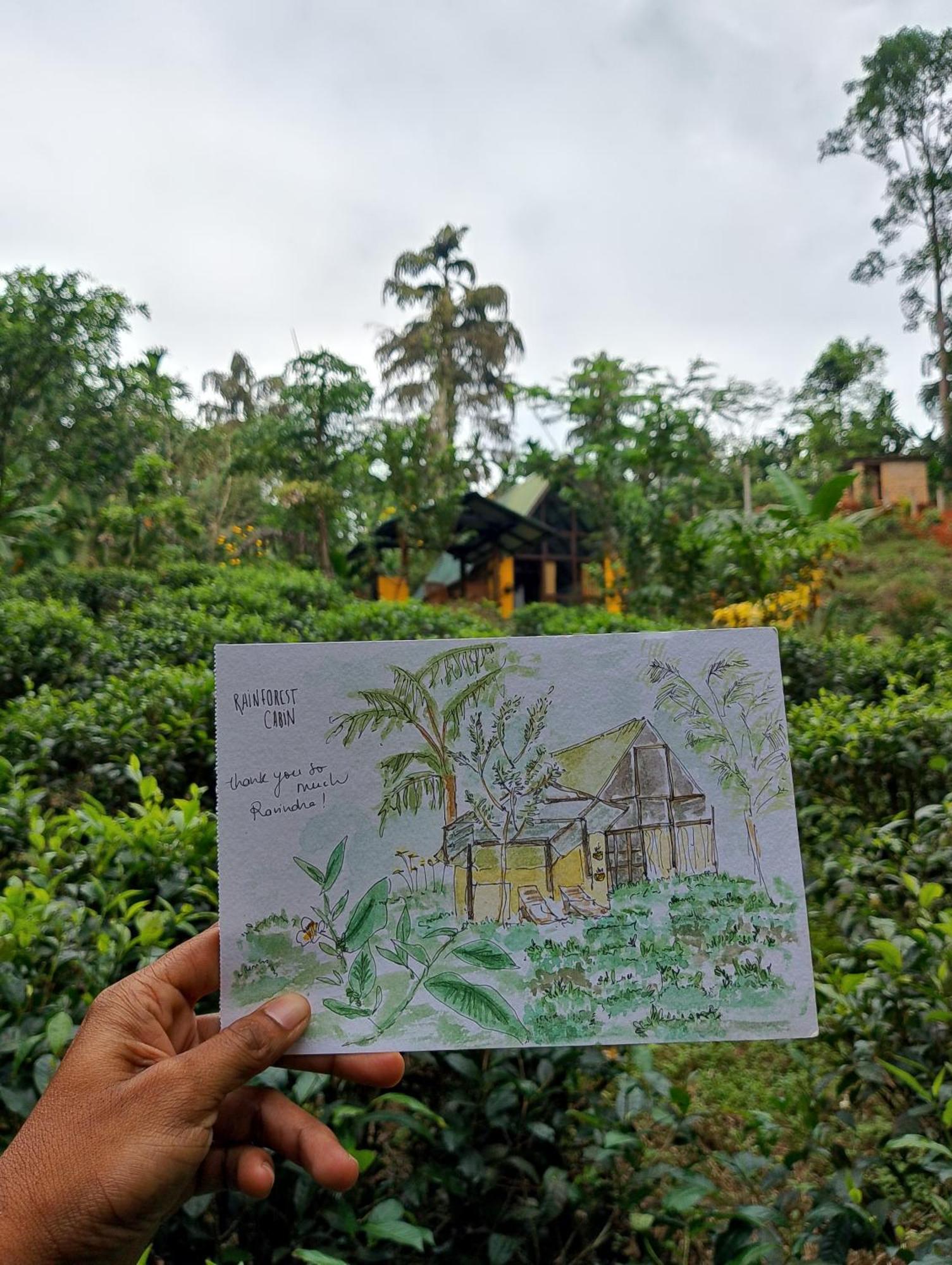 דניאיאה Rainforest Cabin מראה חיצוני תמונה