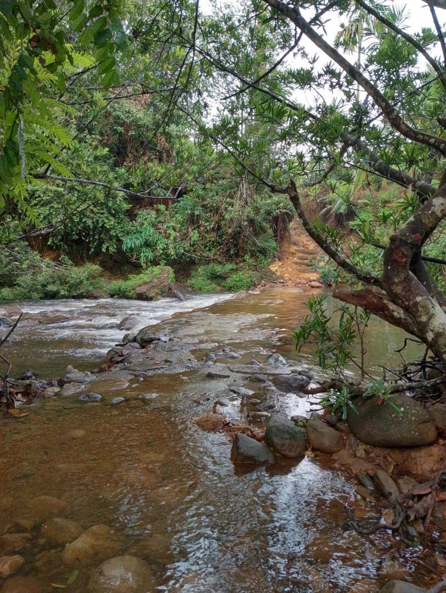 דניאיאה Rainforest Cabin מראה חיצוני תמונה